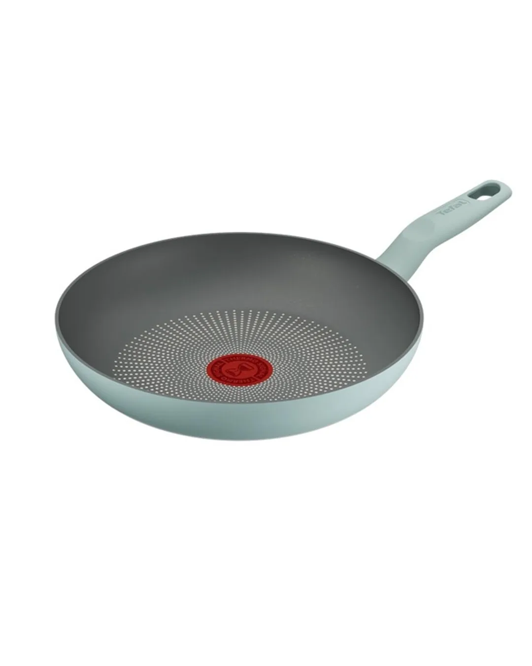 Tefal 24 CM Tava Halo Okalıptus 2100143067 - 1. görsel